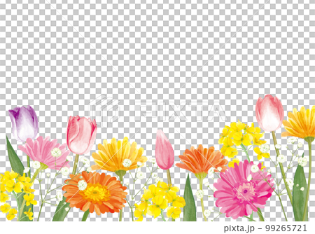 春天的花朵水彩框架背景 99265721