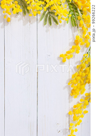 木目調のボタニカルフレーム｜ミモザ（縦） 99266222