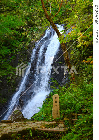 宇津江四十八滝　王滝　岐阜県高山市 99266320