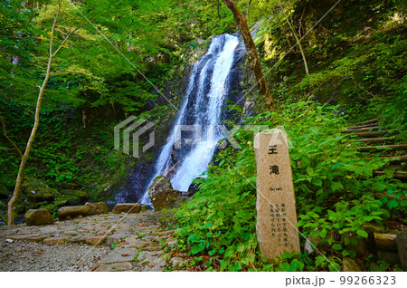 宇津江四十八滝 王滝 岐阜県高山市 宇津江四十八滝 王滝 岐阜県高山市 99266323