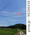田んぼ 99266456