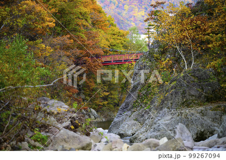 北海道 定山渓の「二見吊橋」と紅葉 北海道 定山渓の「二見吊橋」と紅葉 99267094