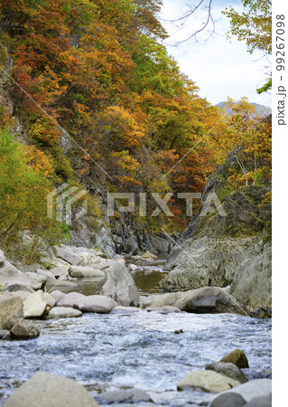 北海道 定山渓「かっぱ淵公園」の紅葉 99267098