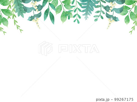 葉っぱのボタニカルなベクターイラストフレーム背景 葉っぱのボタニカルなベクターイラストフレーム背景 99267175