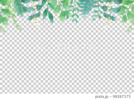 葉っぱのボタニカルなベクターイラストフレーム背景 葉っぱのボタニカルなベクターイラストフレーム背景 99267175