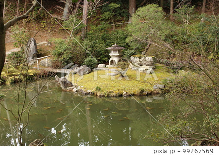 金戒光明寺(くろ谷さん)の大池(鎧池) 金戒光明寺(くろ谷さん)の大池(鎧池) 99267569
