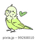 かわいいセキセイインコ 99268010