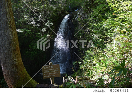 宇津江四十八滝 銚子口滝 岐阜県高山市 宇津江四十八滝 銚子口滝 岐阜県高山市 99268411