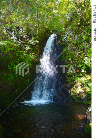 宇津江四十八滝　銚子口滝　岐阜県高山市 99268415