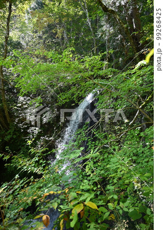 宇津江四十八滝 銚子口滝 岐阜県高山市 宇津江四十八滝 銚子口滝 岐阜県高山市 99268425
