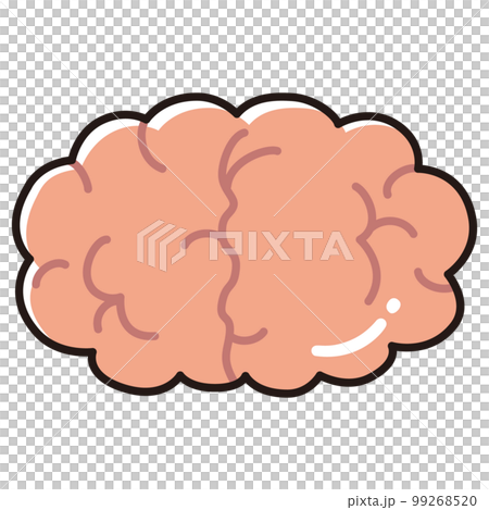 Brain illustration Brain illustration 99268520