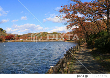 秋の高松の池 秋の高松の池 99268780