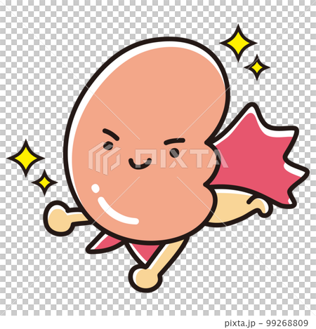 健康な腎臓のイラスト（ヒーローキャラクター） 99268809