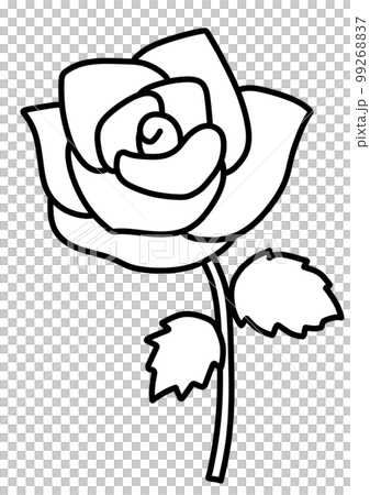 薔薇の線画イラストのイラスト素材 [99268837] - PIXTA