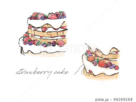 手書き風の苺ケーキのイラスト　挿絵などのイメージ 99269268