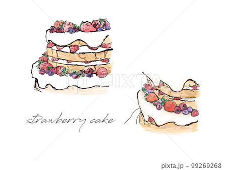 手書き風の苺ケーキのイラスト　挿絵などのイメージ 99269268