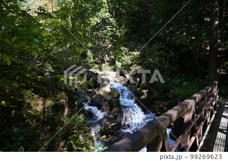 宇津江四十八滝　上平滝　岐阜県高山市 99269623
