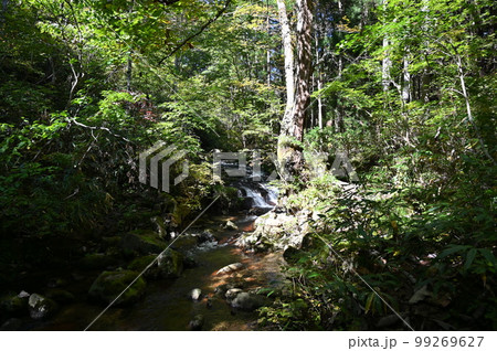 宇津江四十八滝　頂上付近の風景　岐阜県高山市 99269627