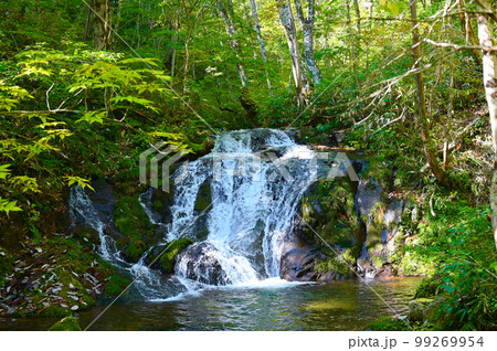 宇津江四十八滝　布晒滝　岐阜県高山市 99269954