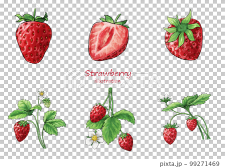 Hand drawn transparent background strawberry illustration 99271469