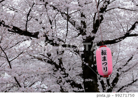 桜まつり 桜まつり 99271750