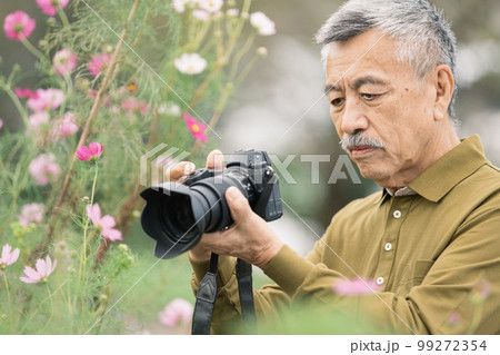 コスモスの写真を撮るシニア男性 99272354