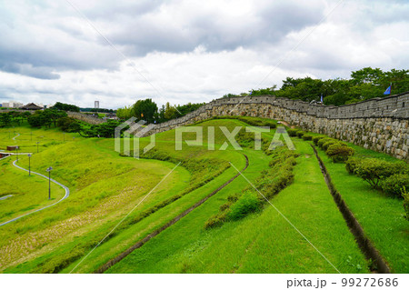 紫 景色 観光地 99272686