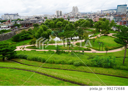 紫 景色 観光地 99272688
