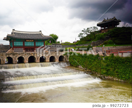紫 景色 観光地 99272723