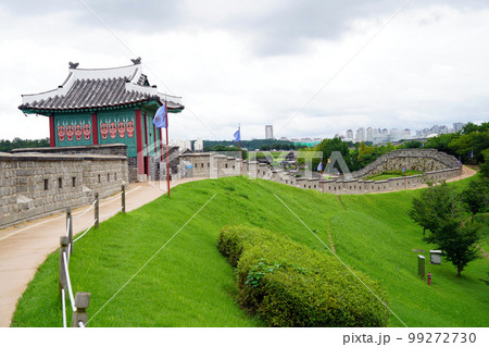 紫 景色 観光地 99272730