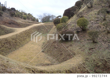 山中城の「障子掘」(静岡県三島市山中新田) 山中城の「障子掘」(静岡県三島市山中新田) 99272744