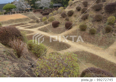 山中城の「障子掘」（静岡県三島市山中新田） 99272745