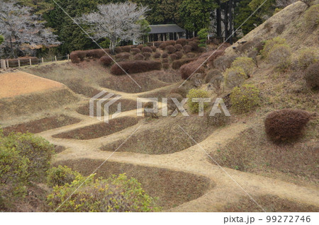 山中城の「障子掘」（静岡県三島市山中新田） 99272746