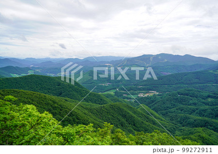 風力発電 生態 雲 99272911