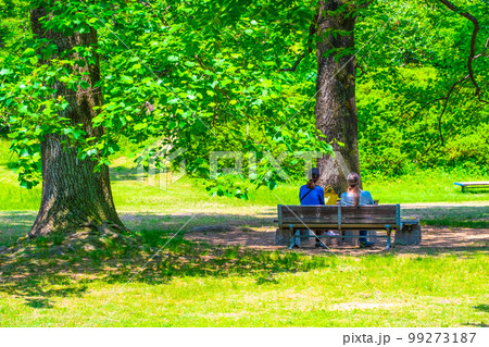 ユリノキの新緑とカップル 99273187