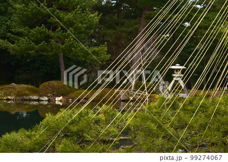 石川県 冬の兼六園 石川県 冬の兼六園 99274067