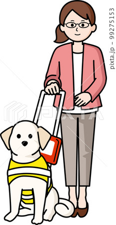盲導犬と女性 盲導犬と女性 99275153
