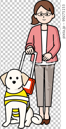 盲導犬と女性 盲導犬と女性 99275153