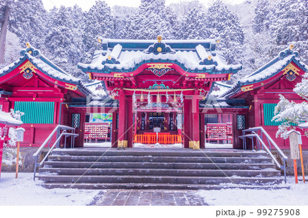 （神奈川県）降雪のあった、箱根神社 99275908