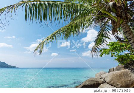 Tropical beach with palm trees Tropical beach with palm trees 99275939