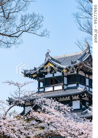 高田城址公園（春） 99277660