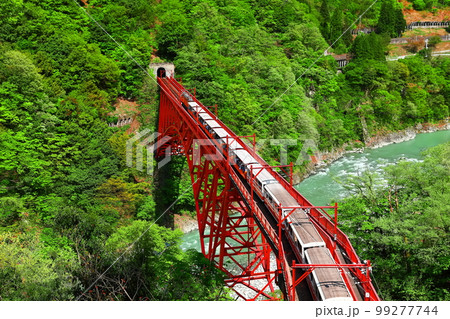 【富山県】深緑の黒部峡谷 99277744