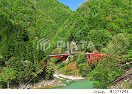 【富山県】深緑の黒部峡谷 【富山県】深緑の黒部峡谷 99277748