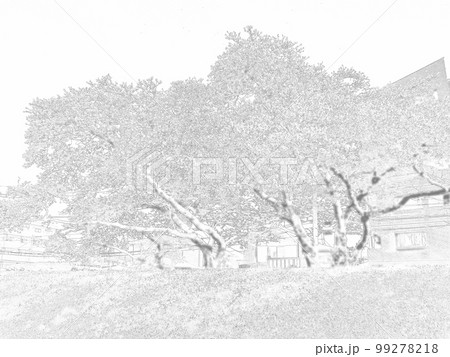 河川敷の桜。イラスト風の写真。 99278218
