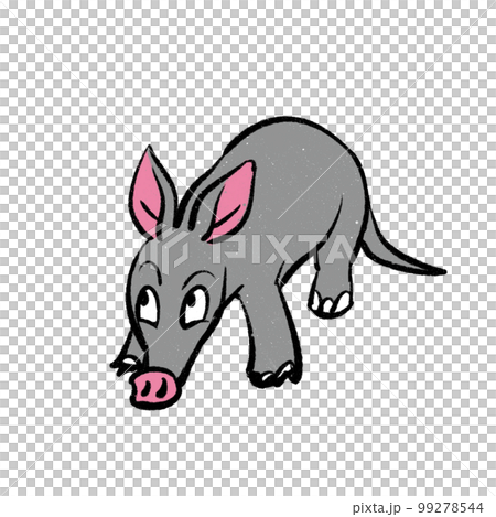 Aardvark illustration Aardvark illustration 99278544