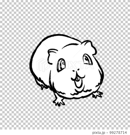 豚鼠插圖著色頁 99278714
