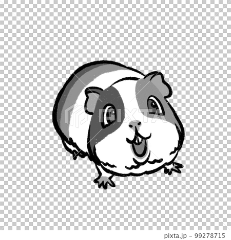 モルモット イラスト モノクロ 99278715