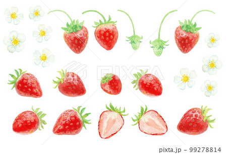 水彩絵の具で描いた春のいちごパーツ 99278814