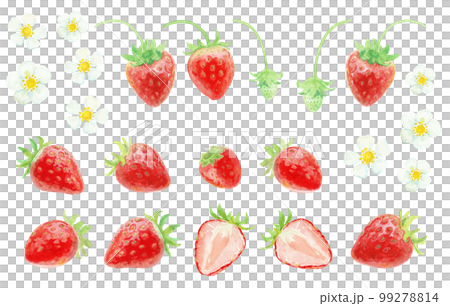 水彩絵の具で描いた春のいちごパーツ 99278814