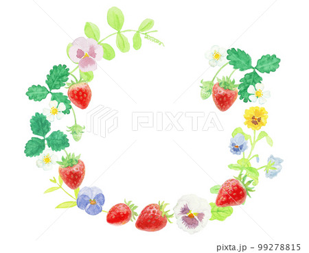 水彩絵の具で描いた春の花といちごリース 99278815